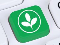 Green Tech: 5 Innovative Strategies For IT Sustainability In The&nbsp;Workplace