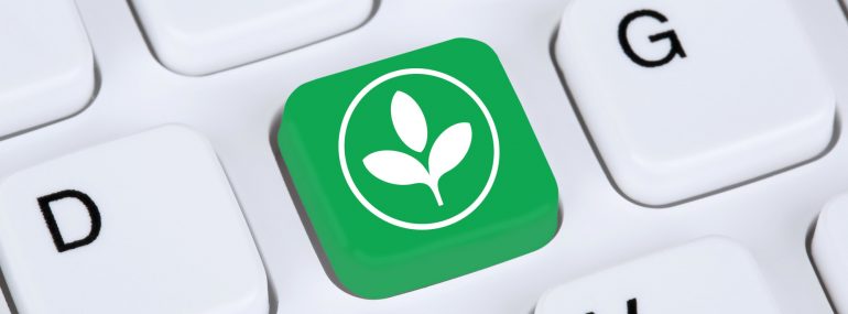 Green Tech: 5 Innovative Strategies For IT Sustainability In The&nbsp;Workplace